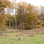 Yew - Woodland Prázdninový dům *