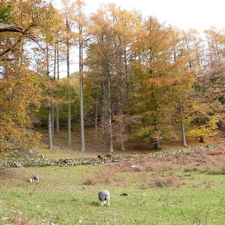 Holiday home Yew - Woodland Bowness-on-Windermere