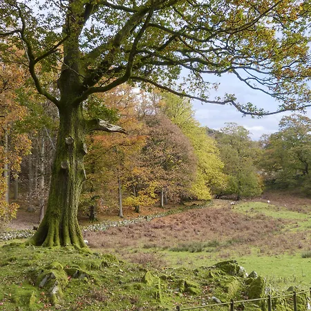 Prázdninový dům Yew - Woodland Bowness-on-Windermere