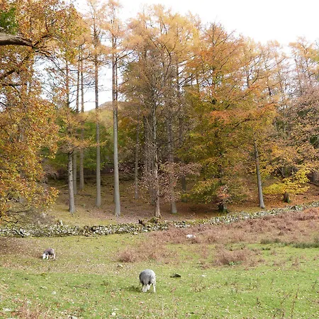 Yew - Woodland Holiday home *