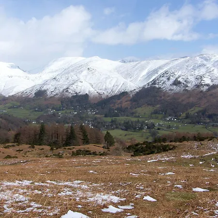 Дом отдыха Yew - Woodland